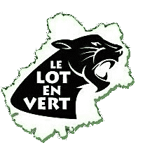 Emblème Lot en Vert Supporters Stéphanois