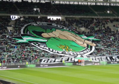 ASSE LORIENT Avril 2016 82